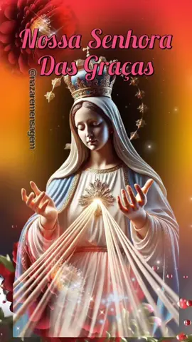 oração a nossa senhora das graças✨🙏✨ #nossasenhoradasgraças #oração #salvemaria 
