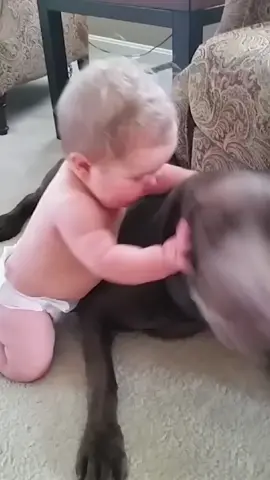 Dogs are the best babysitters🥰🐶part 3#babylove #babyanddog #baby #fyp #foryou #foryoupage 