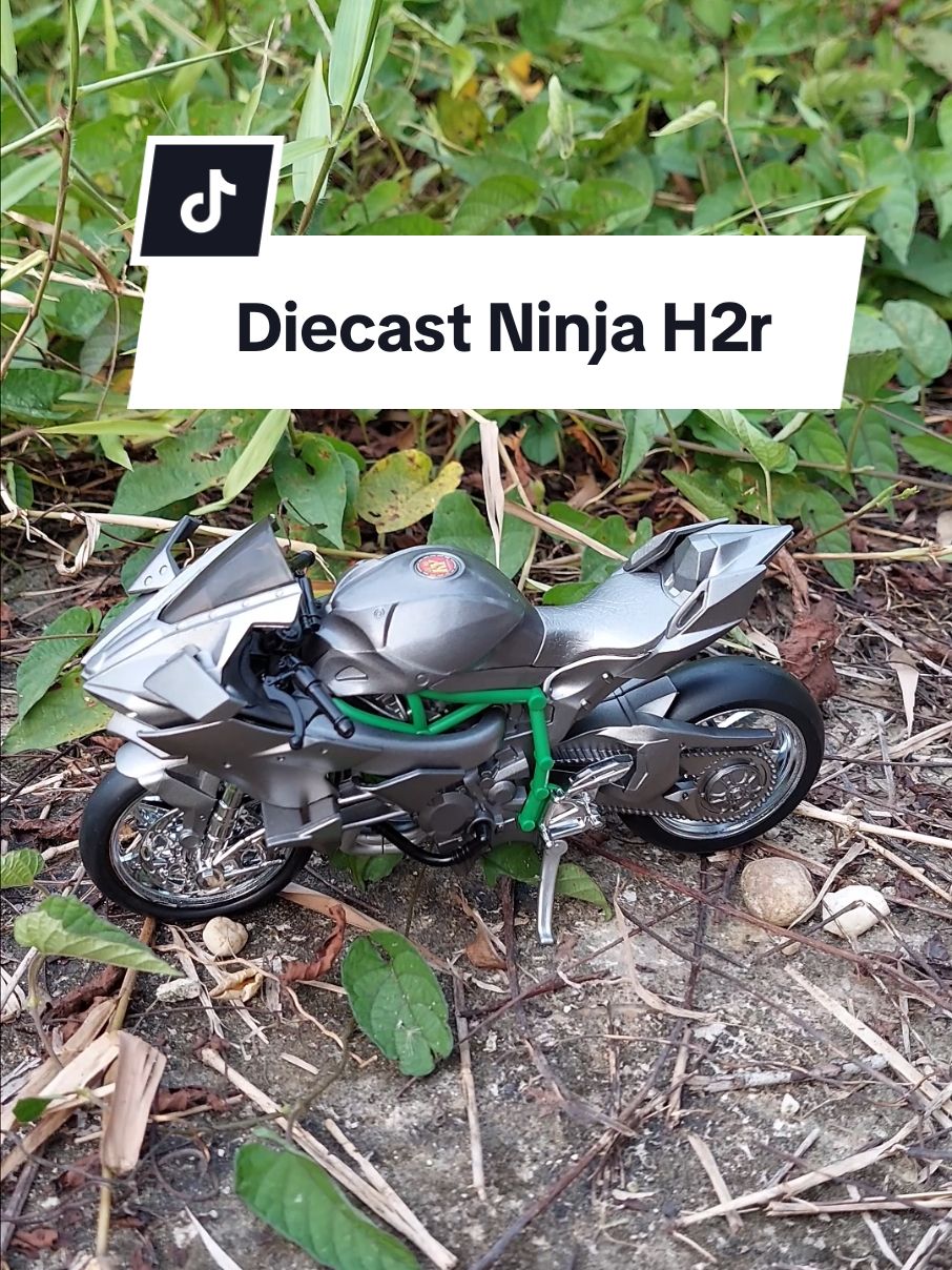 Diecast Ninja H2r#promoguncang1212 #diecast #ninjah2r #mainananak #viral 