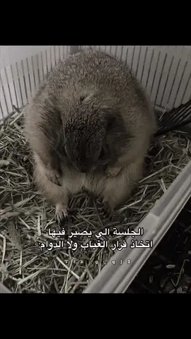 #عاكوف #fyp 