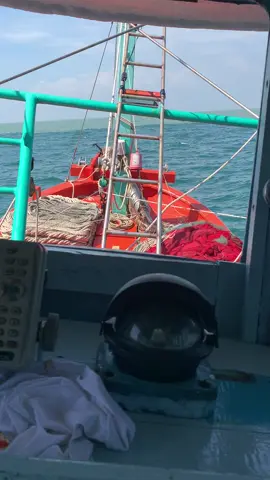 Nghĩ chạy lưới, zề chở mn đi ăn giỗ bên cồn 😆😆 #71bentre #danbien71 #71bentre_xinchao🌴 