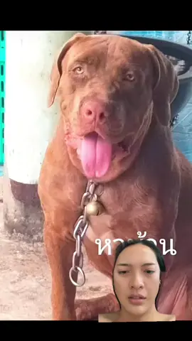 #กรีนสกรีน #🥲 