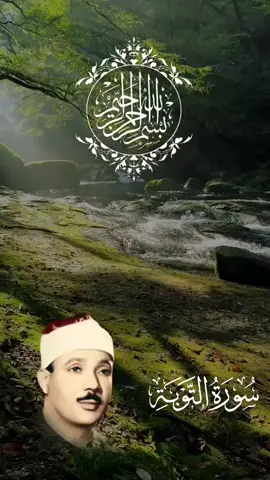 ﴿قل لن يصيبنا إلا ما كتب الله لنا هو مولانا وعلى الله فليتوكل المؤمنون﴾ [التوبة: ٥١] #سورة_التوبة #التوبة  #قرآن #قرآن_كريم #راحة_نفسية #عبد_الباسط_عبد_الصمد #عبدالباسط_عبدالصمد #quran #quran_alkarim #رجل_يسعى 