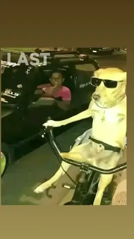 #navidad #meme #umor #XD 