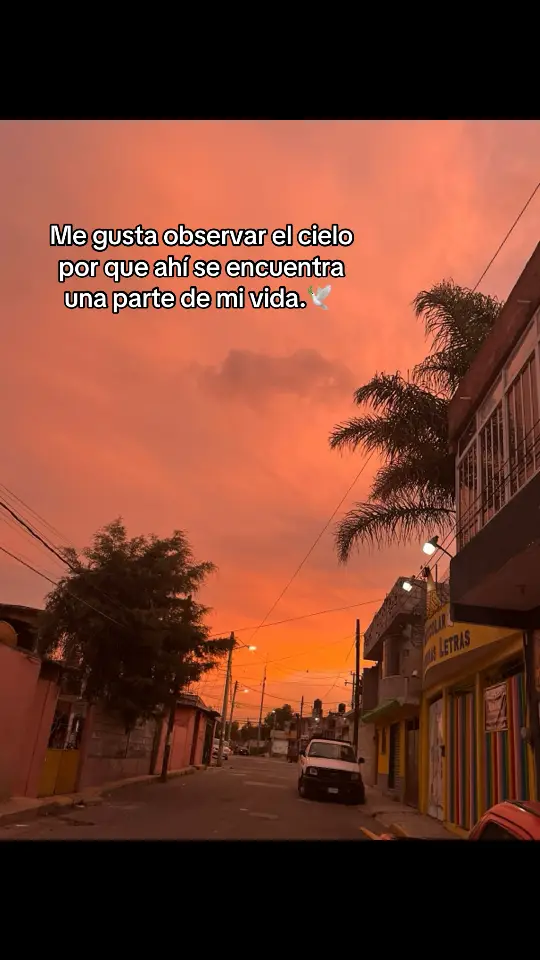 🕊️ #cielo#observa #partedemivida #murio #tio #teextraño #cielosbonitos #cumbiaperuana #corazonroto #viral #xyzcba #