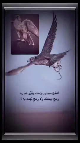 #قصص_من_التاريخ👑 #الراوي_فواز_الغسلان_فهد_الغسلان #البوح💔🤍 #الاخ#اخوي #تصميم_فيديوهات🎶🎤🎬 #rayan12222200 #بوح_المشاعر❤️🎼 #اكسبلور_explore❤️ #قصايد_شعر_خواطر_شيلات_الاكسبلور_بوح🌹 
