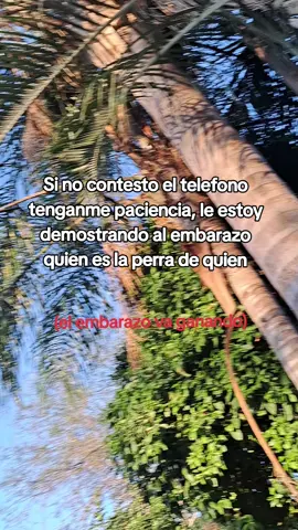 🫠🫠#contenido #paratodos #tiktok #bebeencamino🤰 