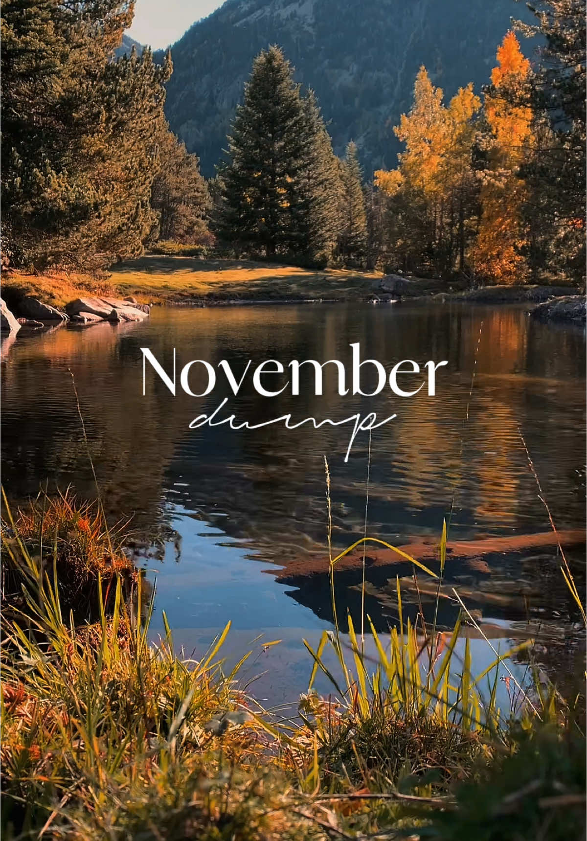 Recap your November adventures with this template 🦃🍗 #novemberdump #capcuttemplate #cccreator 