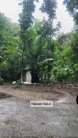 @matarofficiall  #komedi #viralfb #mbahman354 #jokam354 #HassanSuLe