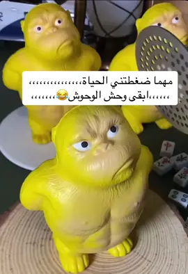 #مشاهير_تيك_توك 