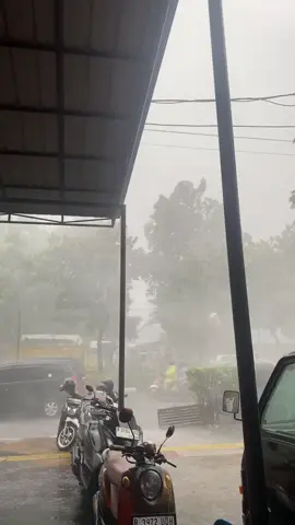 pasar senen, jakarta pusat hujan angin kencang dan pohon tumbang. hati hati guys! #jakartapusat #jakartahariini #pasarsenen #anginkencang #hujan🌧️ #hujanbadai #infojakarta #fyp #fypシ゚ #jakartakeras #jakarta 