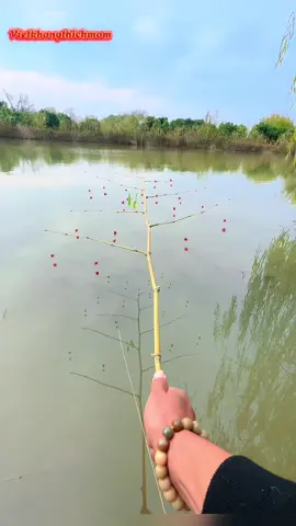 Gạt Cá Ra Mới Múc Được Nước 😂😂😂 #vietdocau #fishing #caucagiaitri #phukiencauca #sanhang #caudai #sanhangtunhien #cauca #vietkhongthichmom 