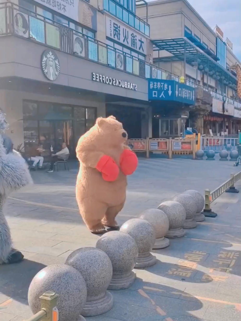 #funnyvideos #funny #funnyanimals #comedyvideo #comdy #lucu #fy #fypシ #foryou #xuhuong 