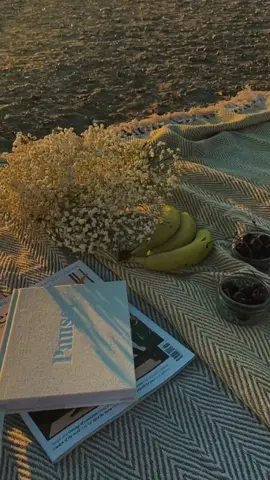 #thatssotrue #gracieabrams #lyrics #liriklagu #lyricsong #songvibes #foryou #fyp #song #vibes #aeshtetic #sunset #thatssotruegracieabrams #thatssotruelyrics #speedup #CapCut 