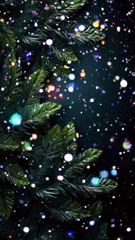 💫Слова жизни. 💫 #статусы #мудрыеслова 