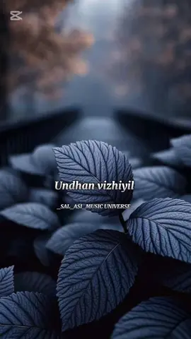 ❤️🌜Unnai thulasi chediyaai sutri vandhanae.... #musicunivers01 #malligaimalligai #arasu #manisharma  #somememoriesneverdie 🥀❤️ 🩹 #makethismemories☘️   #tamilsong  #tamilstatussongs #videolyrics #tamillovesong  #tamilstatusvideos #tamilbgmlove #tiktokmalaysia #songs #trendingsong #song #lyrics #tamilsonglyrics #lovesonglyrics #lovelyrics #lovenature #viralsongs #fyp #fy #bgmlove #lovetamil #fyppppppppppppppp #fypviral #foryou #foryoupage #musictamil #CapCut 