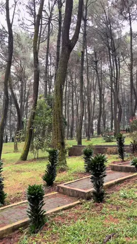 Syahdu🧚#fyp #purwakarta_istimewa #wisataalam #hutanpinus #ujungaspalpurwkarta #masukberandafyp 
