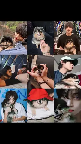 Taehyung tribute pictures to Yeontan in his IG post. ☹️🤍 YOU ARE SO LOVED YEONTAN BE HAPPY ALONG WITH THE STARS ✨ #bts #army #yeontan #kimyeontan 
