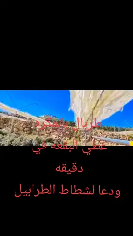 المكره ولابعدها #