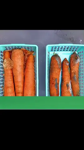 @KetowPraktyce Jak przedłużyć świeżość kapusty, marchewki i czosnku? Sprawdzone triki, które pozwolą Ci dłużej cieszyć się warzywami w kuchni! #KuchennePorady #PrzechowywanieŻywności 