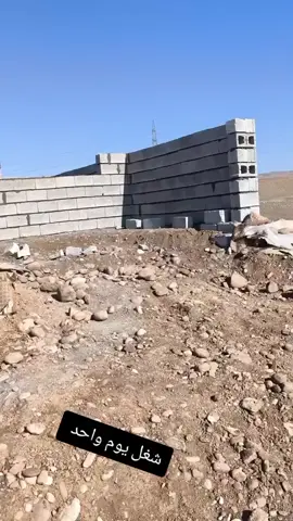 ابن الشبك #بعشيقة_بعزاني #سهل_نينوى #ترندات_تيك_توك #تابعوني #👌 