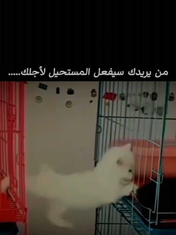 عباراتكم ....#fypシ #CAMONMyWay💔 #viral #اكسبلووور #anlamlısözler #foryoupage #CAMONMyWay #camonmyway💔 #inshower #fyp #foryou #اكسبلور #صعدوه 