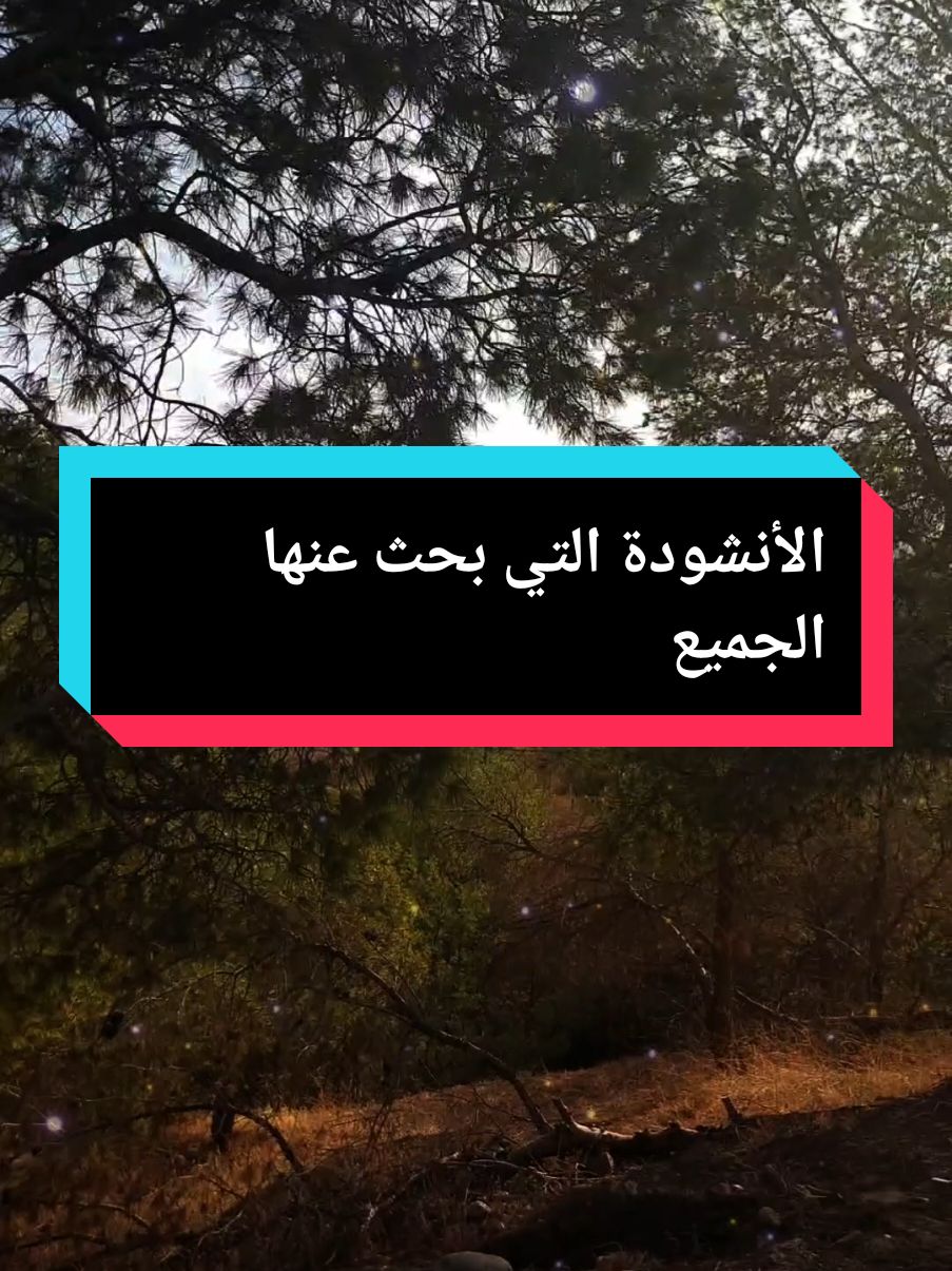 #أناشيد #شعر #قصيدة #إسلاميات #إقتباسات #fyp #foryou #tik_tok #foryoupage @النجم الساطع ⚜️5️⃣ #@النجم الساطع ⚜️5️⃣ 