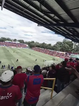 Vos sos mi lucura, vos sos mi pasion 🔴🔵❤️👹👊🏻 #lbdr🔴🔵🥁🎺 #rojosdemunicipal  @labandadelrojo_ @Rojos del Municipal #somoslosmasgrandes 🔴