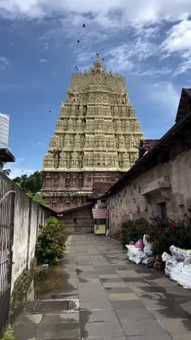 Kerala: God’s Own Country | കേരള: ഗോഡ്സ് ഓൺ കൺട്രി . . . . . . . . #kerala #keralatourism #keralagodsowncountry #thiruvananthapuram #trivandrum #kumarakom #munnar 