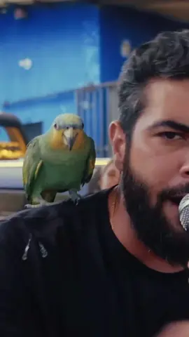 🎵 Paredões 🎵 @eogrelo @Henrique e Juliano . . . #sertanejo #sertanejouniversitario #musica #paredoes #tipografiasmusicas #tipografia #fyp #viral_video #henriqueejuliano #eogrelo #grelo 