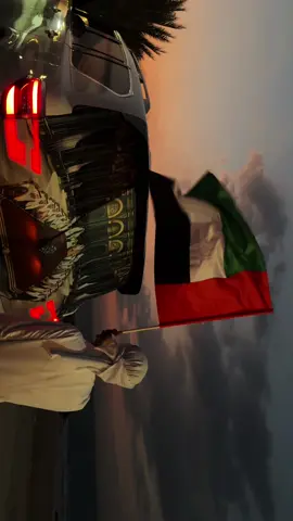🇦🇪✨