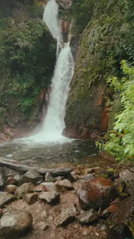 The waterfalls along route 240 in southern Chile remind me of the Columbia River Gorge. Only without the tourists. 😄