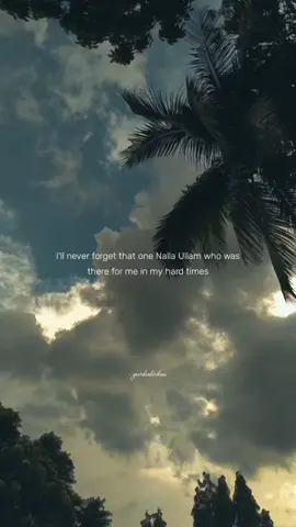 Thanks daa maple ❤️🫂 #yourhealerkani #tamilsong #tamiledit #tamiltrend #tamiltiktok #tamilsongsstatus #aesthetictamiledits #aesthetictamilsongs #friendhsip #tamilfriends #tamilfriendship 