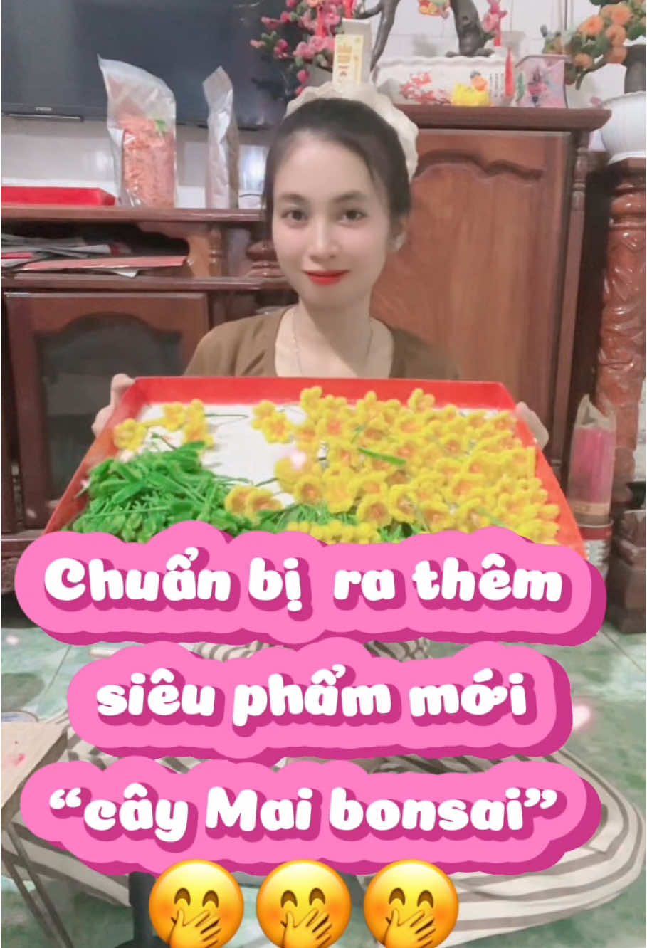 Lyn lên vd trễ quá chừng mà vẫn chưa làm xong nữa mọi người ơi 😅😅😅#AnhLinh #thancaybonsai #hoamaikemnhung #caymaibonsai #bonsaikemnhung 