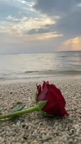 اشغلتني من بعدماكنت خالي وعلمت عيني الدمع وقلبي ونينه #capcut #تصميم_فيديوهات🎶🎤🎬 #راشدالماجد #إكسبلوررررررر_explore #خواطر 