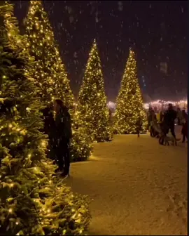 🎄𝗧𝗔𝗭𝗘 𝗬𝗬𝗟 🎄#kesfet #keşfetteyizzz #rekumendatsiya #edit #globalrecommendations #🎄 #banancik 