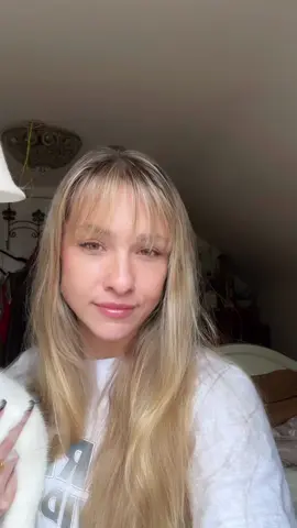 Mr. Mochi, my squishy king 😽 #catsoftiktok #exoticshorthair #catlover 