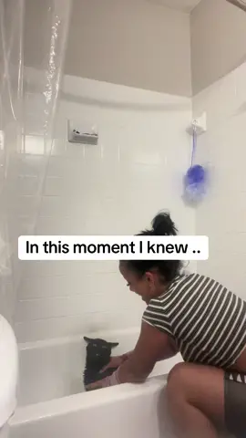 Never bathing a cat again!! #fyp #catsoftiktok #bathtime 