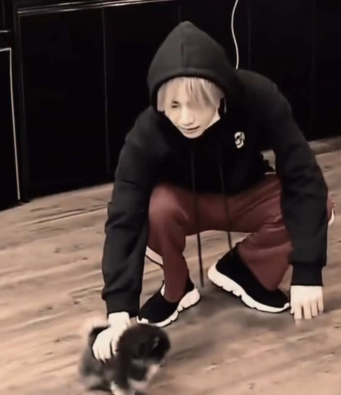 i feel terrible, i’m so glad yeontan had an amazing life :( #fyp #taehyung #yeontan #parati 