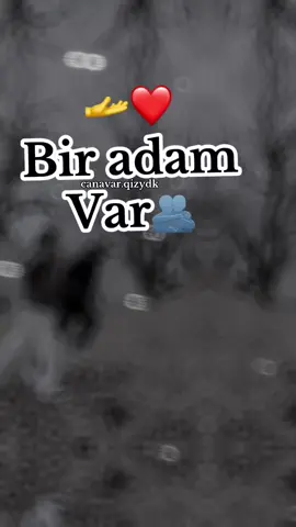 @Canavar.qız🐺 #sevdiyinizietketliyin 