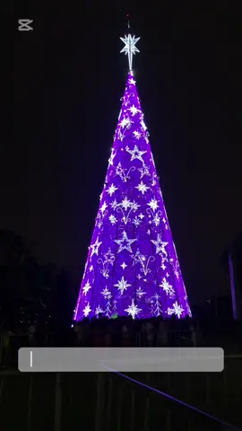 Parque Ibirapuera Natal🎄 #Natal #ibirapuera #parqueibirapuera #arvoredenatal 