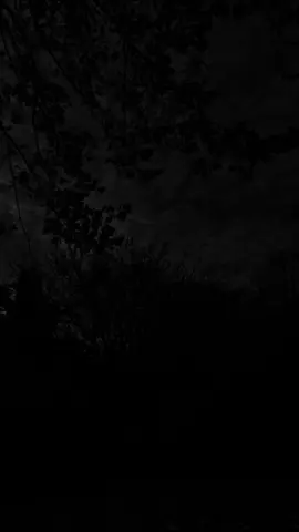 أخلاقك لغيرك....!؟منزلة الأخلاق...!؟ أستغفر الله العظيم وأتوب إليه... اللّهمّ صلّ وسلّم على حبيبنا المُصطفى مُحمّد...