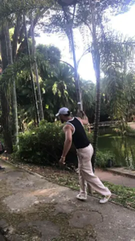 29 dias pro ano acabar e quais foram suas mudanças ?