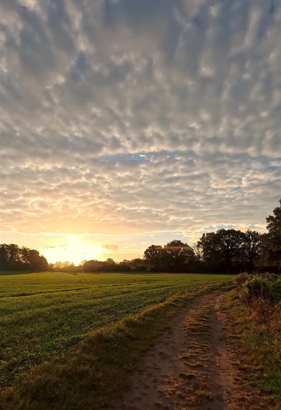 Sunny morning walk #fyp #foru #foruyou #Hiking #nature #walking #Outdoors #outdoor #positivevibes #sun #sunny #morning #naturelover #naturelovers #relax #relaxing #relaxation