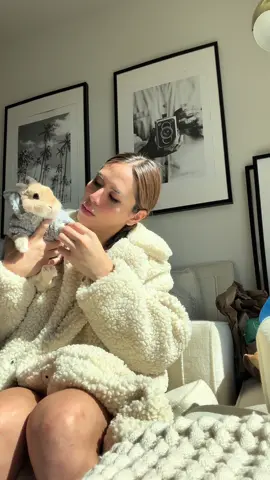 Winter is coming ❄️☃️🤭 #bunnydayoff #bunny#orangebunny #fashionista #rabbitsofinstagram #netherlanddwarfbunny #hiphop #vogue #pets #animals #animalovers #petmodel #losangeles #rabbits #StreetFashion #petinfluencer #cosmetics #cute #bunniesofinstagram #viral #OOTD #bunnyrabbit #petvlog #Vlog #lifestyleblogger