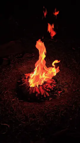 والليل طويل البال 🥀🖤 #الجزيرة 