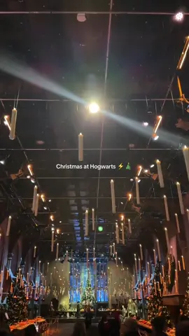 highly recommend visiting the making of harry potter in december 🎄🪄⚡️♥️🫶🏼 #harrypotter #harrypottertiktok #warnerbrosstudio #harrypotterlondon #warnerbrosstudioharrypotter #themakingofharrypotter #harrypotterstudioslondon #hogwarts #hogwartschristmas #harrypotterpov 