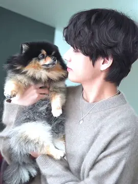 #V #Yeontan #Tae #Taehyung #kimtaehyung #bts #fyp 
