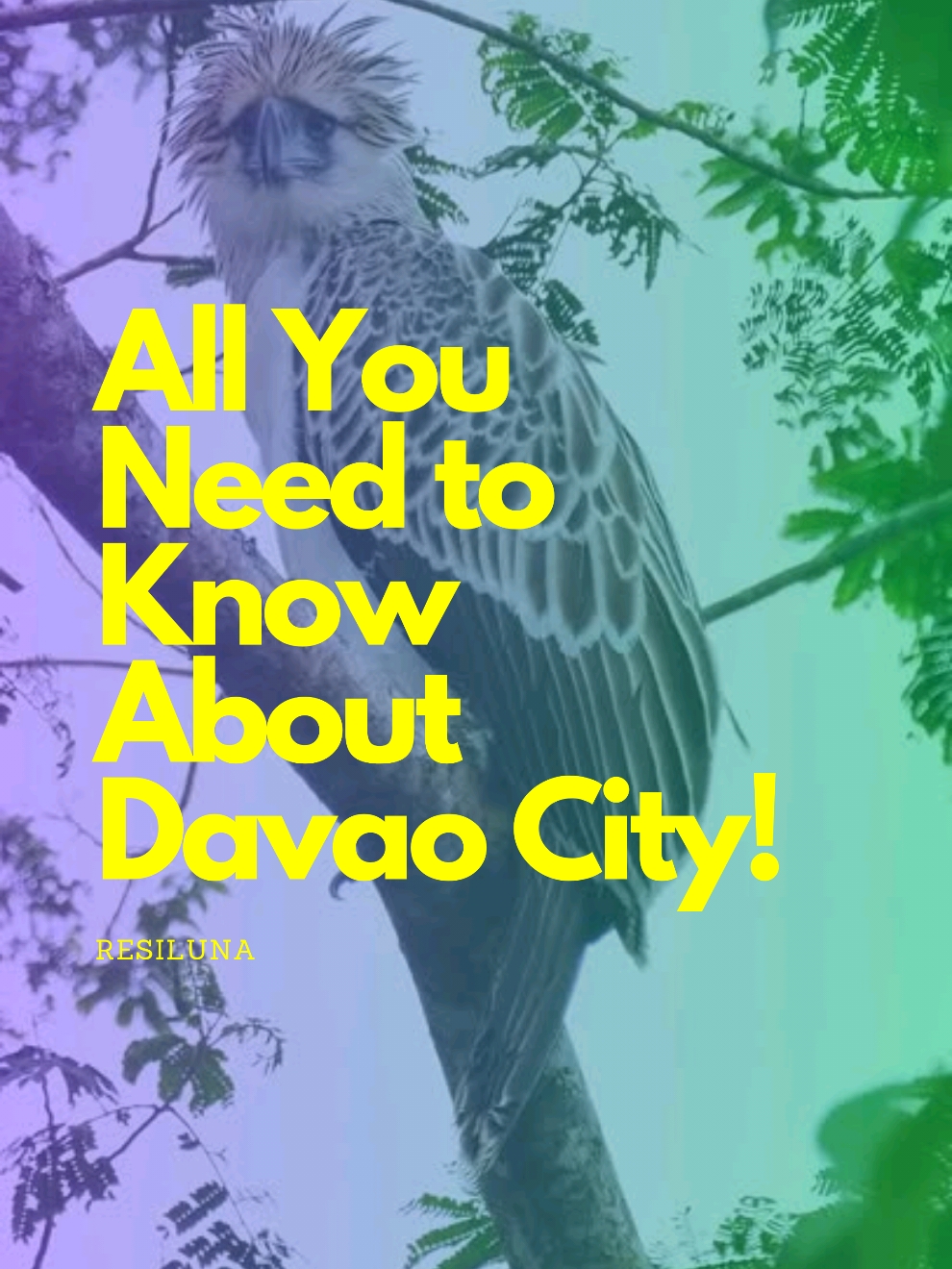 All You Need to Know About Davao City #CapCut #fyp #fypage  #touristattraction #touristspot  #touristdestination #realestate #Philippines #Davao #mtapo #philippineeagle #duriancapital #FilipinoHomes #Resiluna 