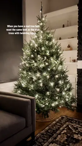 To shop 1) go to the comments 2) tap “Related Product | click to view”  I used (2) 105 ft 300 LED (warm lights). #creatorsearchinsights #christmas #christmastree #realtree #christmasdecor 